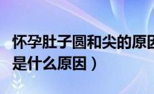 怀孕肚子圆和尖的原因（怀孕肚子尖的与圆的是什么原因）