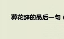 葬花辞的最后一句（一朝春尽红颜老）