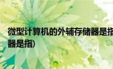 微型计算机的外辅存储器是指硬盘(微型计算机的外(辅)存储器是指)