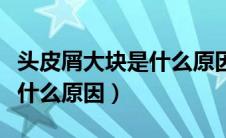 头皮屑大块是什么原因造成的（头皮屑大块是什么原因）