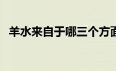 羊水来自于哪三个方面（羊水来自于哪里）