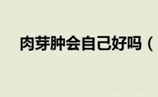 肉芽肿会自己好吗（肉芽肿会自己好吗）