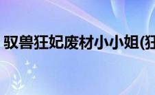 驭兽狂妃废材小小姐(狂凤驭兽极品废材小姐)