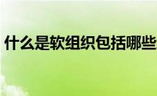 什么是软组织包括哪些结构（什么是软组织）