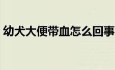 幼犬大便带血怎么回事（大便带血怎么回事）