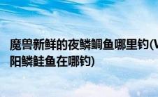 魔兽新鲜的夜鳞鲷鱼哪里钓(WOW新鲜的夜鳞鲷鱼和新鲜的阳鳞鲑鱼在哪钓)