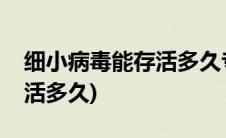 细小病毒能存活多久专业兽医(细小病毒能存活多久)