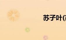 苏子叶(苏子叶)