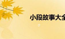 小段故事大全(小段故事)