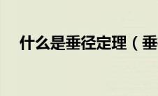 什么是垂径定理（垂径定理是什么意思）
