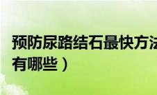 预防尿路结石最快方法（尿路结石的预防措施有哪些）