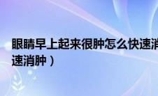 眼睛早上起来很肿怎么快速消肿（早上起来眼睛肿了怎么快速消肿）
