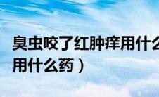 臭虫咬了红肿痒用什么止痒（臭虫咬了红肿痒用什么药）