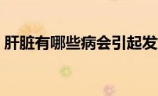 肝脏有哪些病会引起发烧（肝脏有哪些功能）