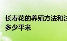 长寿花的养殖方法和注意事项浇水一公顷等于多少平米