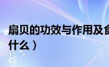 扇贝的功效与作用及食用方法（扇贝的功效是什么）