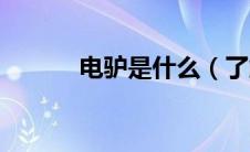 电驴是什么（了解电驴的含义）