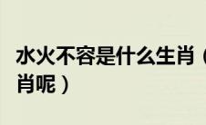 水火不容是什么生肖（水火不容到底是什么生肖呢）