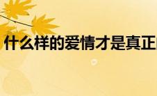 什么样的爱情才是真正的爱情(什么样的爱情)