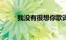 我没有很想你歌词(我没有很想你)
