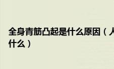 全身青筋凸起是什么原因（人体体表各部位青筋凸起意味着什么）