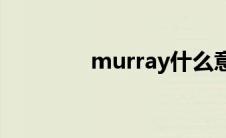 murray什么意思(murray)
