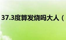 37.3度算发烧吗大人（37.3度算发烧吗大人）