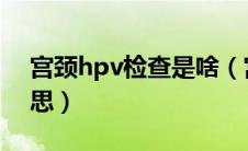 宫颈hpv检查是啥（宫颈HPV检查是什么意思）