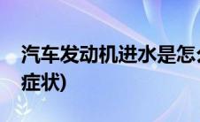 汽车发动机进水是怎么回事(汽车发动机进水症状)