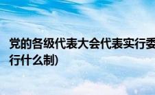 党的各级代表大会代表实行委任制(党的各级代表大会代表实行什么制)