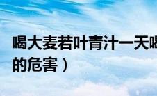喝大麦若叶青汁一天喝几次（喝大麦若叶青汁的危害）