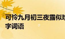 可怜九月初三夜露似珍珠月似弓意思相同的四字词语