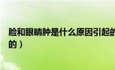 脸和眼睛肿是什么原因引起的（脸和眼睛肿是什么原因引起的）