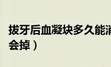 拔牙后血凝块多久能消失（拔牙后血凝块多久会掉）