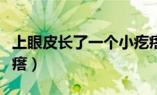 上眼皮长了一个小疙瘩（上眼皮长了一个小疙瘩）