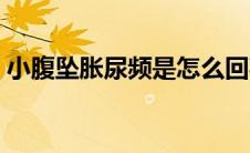 小腹坠胀尿频是怎么回事（小腹坠胀想大便）