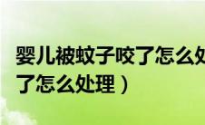 婴儿被蚊子咬了怎么处理一下（婴儿被蚊子咬了怎么处理）