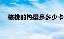 核桃的热量是多少卡（核桃的热量高吗）