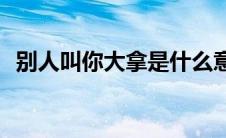 别人叫你大拿是什么意思(大拿是什么意思)