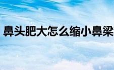 鼻头肥大怎么缩小鼻梁高（鼻头肥大怎么办）