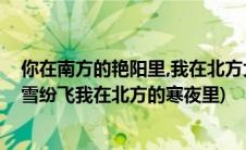 你在南方的艳阳里,我在北方大雪纷飞(你在南方的艳阳里大雪纷飞我在北方的寒夜里)