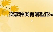 贷款种类有哪些形式(贷款种类有哪些)