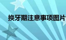 换牙期注意事项图片（换牙期注意事项）