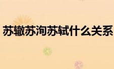 苏辙苏洵苏轼什么关系(苏轼苏洵苏辙的关系)