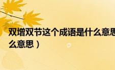 双增双节这个成语是什么意思（双增双节这个成语具体是什么意思）