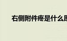右侧附件疼是什么原因（右侧附件疼）