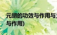 元胡的功效与作用与主治与用量(元胡的功效与作用)