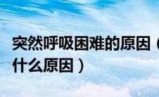 突然呼吸困难的原因（旅途突然突发呼吸困难什么原因）