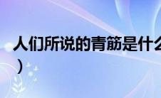 人们所说的青筋是什么血管（青筋是什么血管）