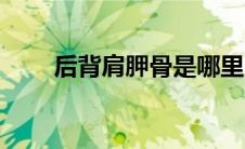 后背肩胛骨是哪里（肩胛骨是哪里）